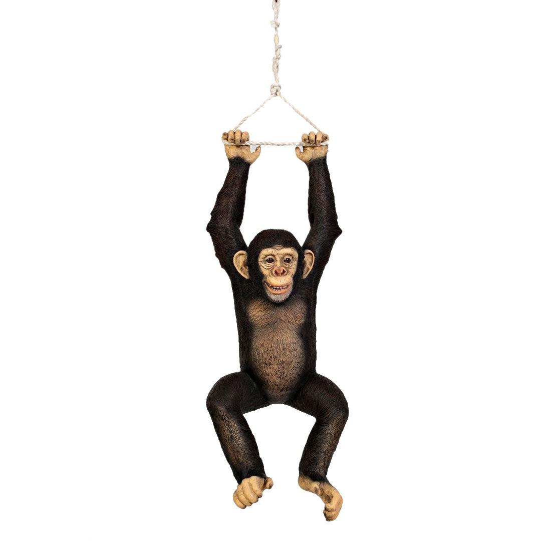 Hanging order Monkey