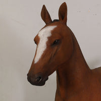 Foal Pony Life Size Statue