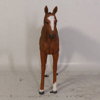 Foal Pony Life Size Statue