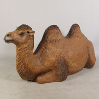 Laying Camel Life Size Nativity Statue