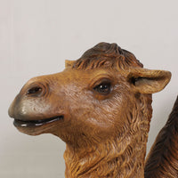 Laying Camel Life Size Nativity Statue