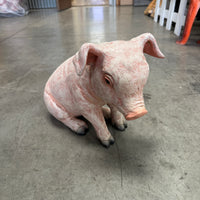 New Born Pig Sitting Life Size Statue