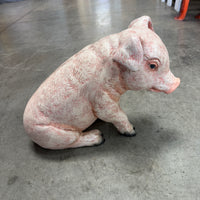 New Born Pig Sitting Life Size Statue