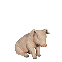 New Born Pig Sitting Life Size Statue