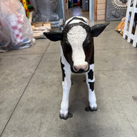 New Born Holstein Calf Life Size Statue