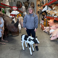 New Born Holstein Calf Life Size Statue