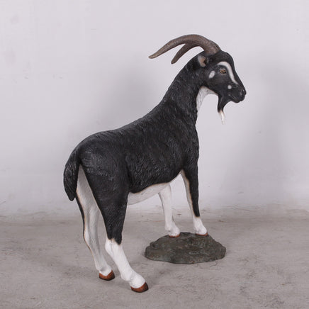 Black Billy Goat Life Size Statue - LM Treasures 