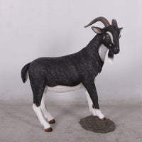 Black Billy Goat Life Size Statue - LM Treasures 