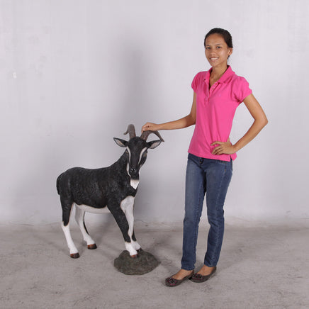 Black Billy Goat Life Size Statue - LM Treasures 