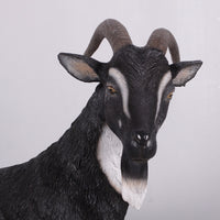 Black Billy Goat Life Size Statue - LM Treasures 