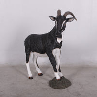 Black Billy Goat Life Size Statue - LM Treasures 