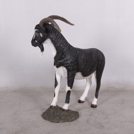 Black Billy Goat Life Size Statue - LM Treasures 