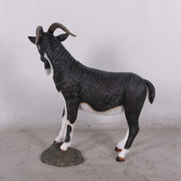 Black Billy Goat Life Size Statue - LM Treasures 