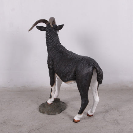 Black Billy Goat Life Size Statue - LM Treasures 