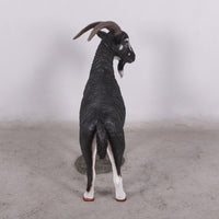 Black Billy Goat Life Size Statue - LM Treasures 