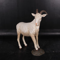 Cream Billy Goat Life Size Statue - LM Treasures 