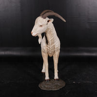 Cream Billy Goat Life Size Statue - LM Treasures 