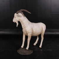 Cream Billy Goat Life Size Statue - LM Treasures 