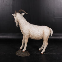 Cream Billy Goat Life Size Statue - LM Treasures 