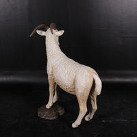 Cream Billy Goat Life Size Statue - LM Treasures 