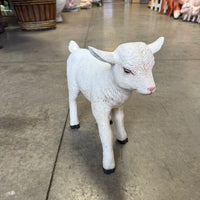 Baby Goat Life Size Statue