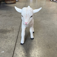 Baby Goat Life Size Statue