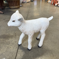 Baby Goat Life Size Statue