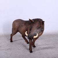 Wild African Warthog Life Size Statue