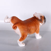 Bulldog Peeing Life Size Statue - LM Treasures 