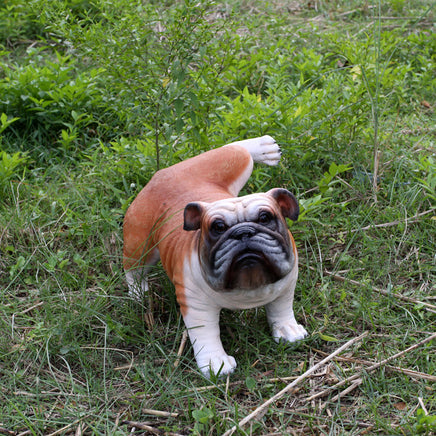 Bulldog Peeing Life Size Statue - LM Treasures 