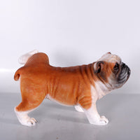 Bulldog Peeing Life Size Statue - LM Treasures 