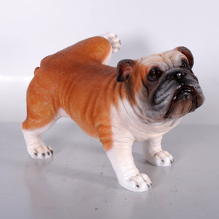 Bulldog Peeing Life Size Statue - LM Treasures 