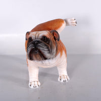 Bulldog Peeing Life Size Statue - LM Treasures 