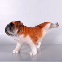 Bulldog Peeing Life Size Statue - LM Treasures 