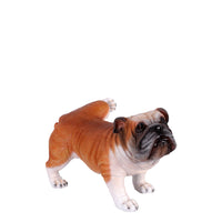 Bulldog Peeing Life Size Statue - LM Treasures 