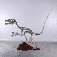 Deinonychus Dinosaur Skeleton Life Size Statue