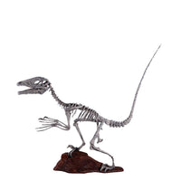 Deinonychus Dinosaur Skeleton Life Size Statue