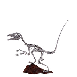 Deinonychus Dinosaur Skeleton Life Size Statue