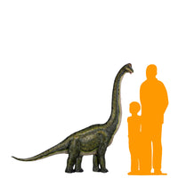 Brachiosaurus Dinosaur Wall Decor Life Size Statue