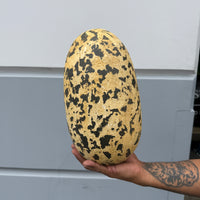 Large Theropod Dinosaur Egg Life Size Statue