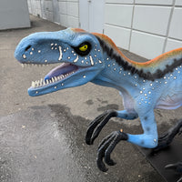 Blue Deinonychus Dinosaur Life Size Statue