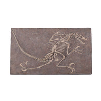 Velociraptor Dinosaur Fossil Life Size Statue