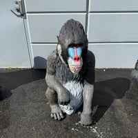 Mandrill Monkey Life Size Statue