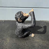 Boozy Monkey Chimpanzee Life Size Statue