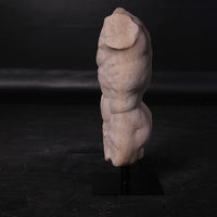 Andrea Male Stone Torso Life Size Statue