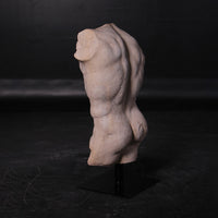 Andrea Male Stone Torso Life Size Statue