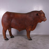 Angus Bull Life Size Statue