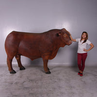 Angus Bull Life Size Statue