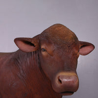 Angus Bull Life Size Statue