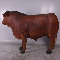 Angus Bull Life Size Statue